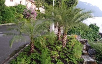 2-Xylokastro-Messolonghi