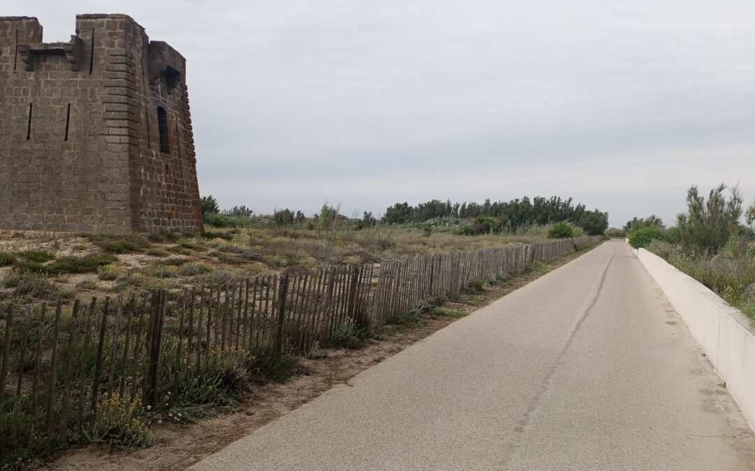 11-Montpellier-Narbonne